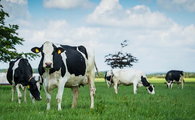 Progress in the first two years of UK Dairy Cattle Welfare Strategy