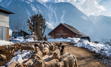 'The village of shepherds'. Pahalgam, Kashmir - February 02, 2021.