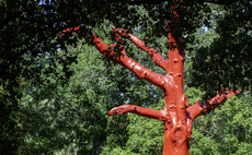 London could lose over 70 per cent of its trees to climate change by 2100