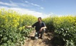 Precision seeding technology shows promise