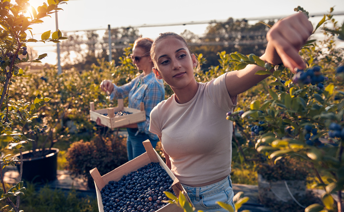 International Women's Day is celebrated on March 8