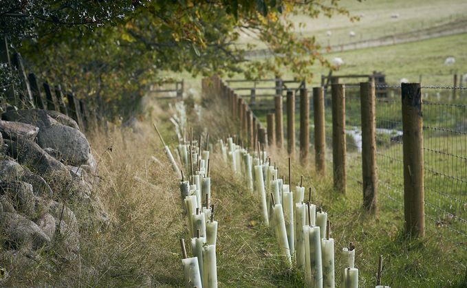 Agricultural transition has 'lurched from one crisis to another'