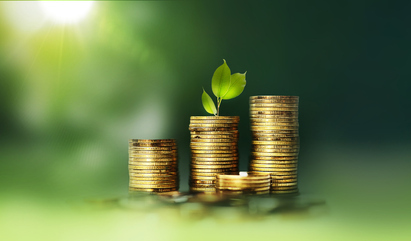 Sustainable securities shine through the storm