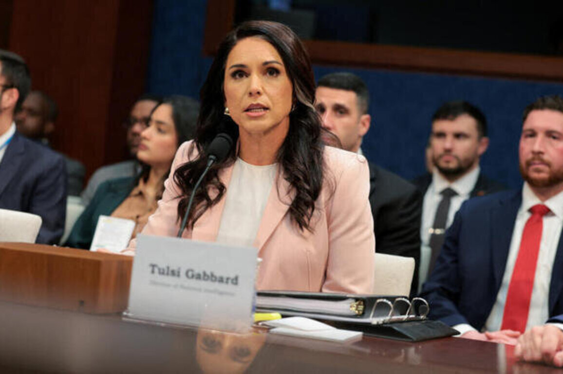 Trump intelligence chief Tulsi Gabbard resigns