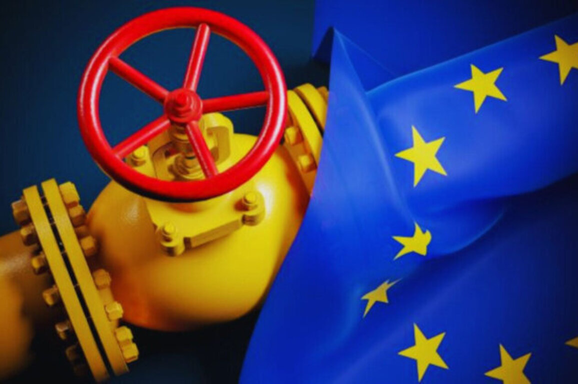 European Gas Prices Drop Nearly 6% Amid Record LNG Imports