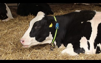 Nutrition and Herd Monitoring