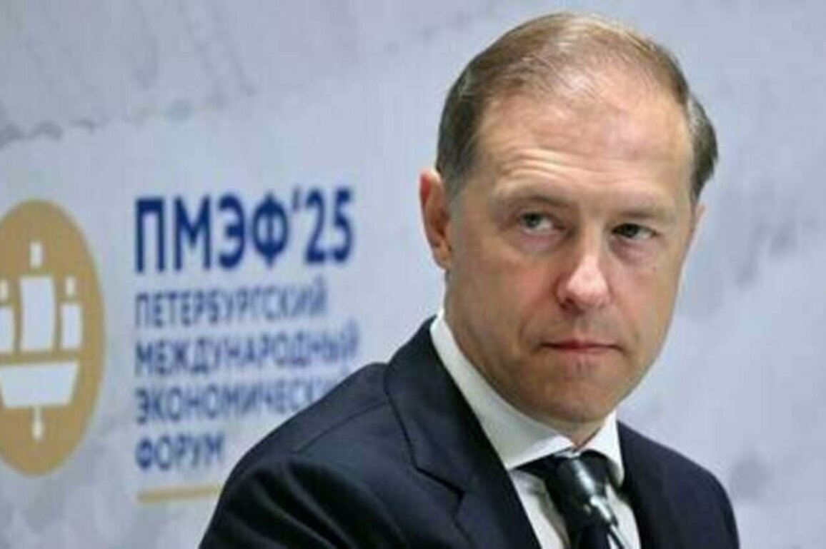 Russia is open to 'smart' foreign investment - first deputy PM
