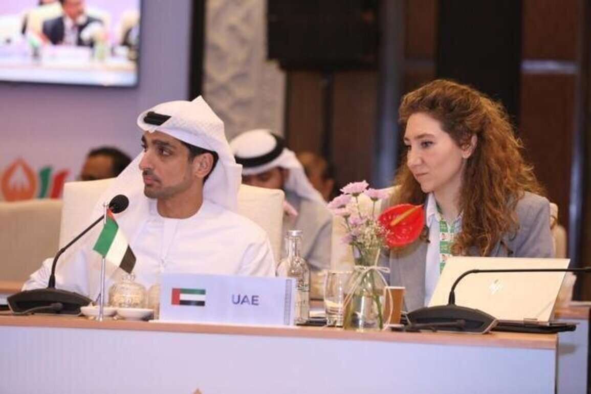 UAE participates in first BRICS Sherpa Meeting of 2026