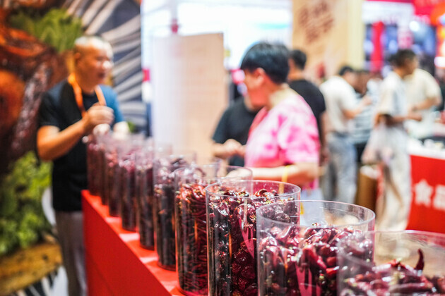 CHINA-GUIZHOU-ZUNYI-11TH INT'L CHILI EXPO (CN)