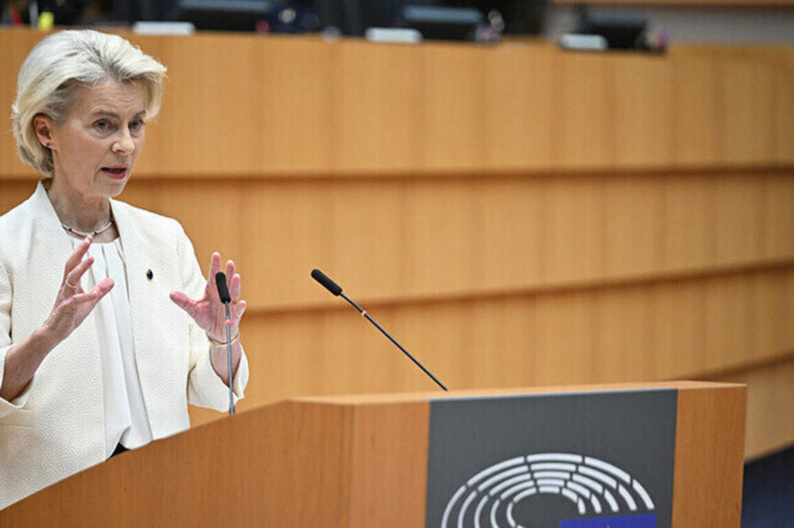 EU to spread legal costs of attacking Russian assets  Politico