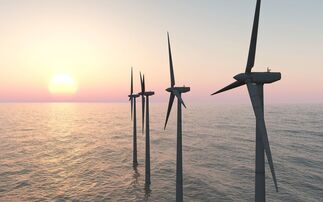 Kepler Partners' Alan Ray: What the puzzling picture for renewables means for trusts