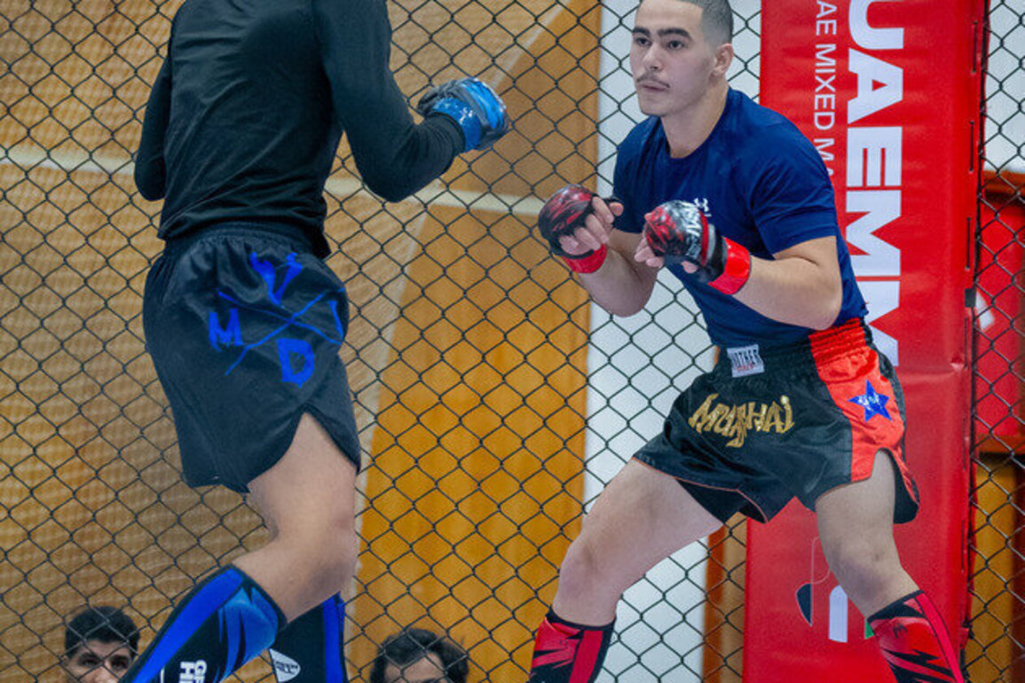 Al Ain to host UAE National MMA Championship Saturday
