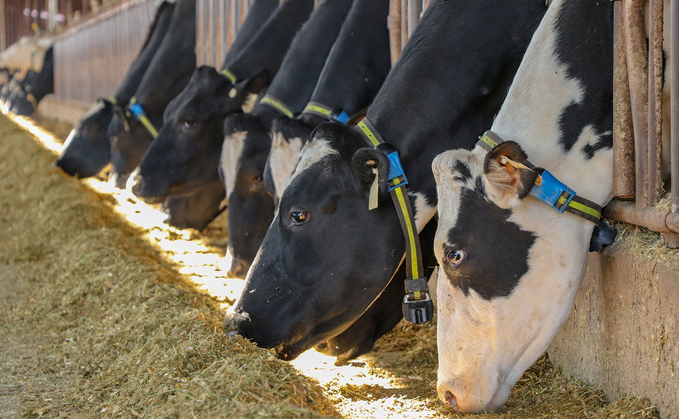 Partner Insight: Preventative health as the foundation of farm resilience