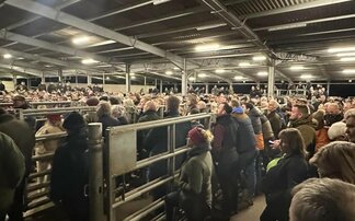 Over 1,000 farmers meet at Welshpool Livestock Market to discuss protests