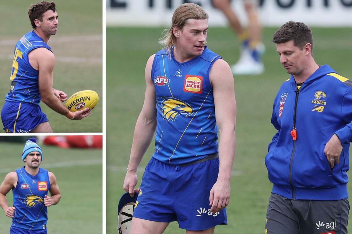 West Coast Eagles Training Notes- Mid-season draftee Tom McCarthy takes a step closer to debut
