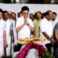 "Grief-filled cries, have not left my heart": Tamil Nadu CM Stalin expresses sorrow over Karur tragedy