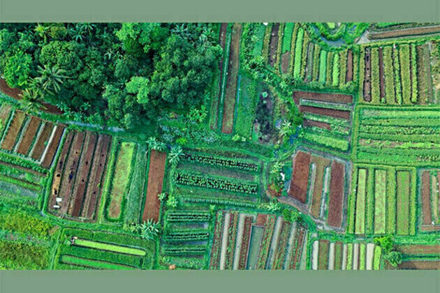 Wealth Tech Company Curio Capital to raise Rs 200 Cr in India's First Land Opportunity with Ram Rattan Group