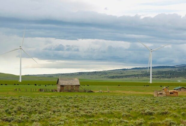 Wind Energy Boom and Golden Eagles Collide in the US West