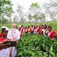 Assam, Bengal tea producers urge PM Modi to withdraw notification mandating 50% sale through auctions