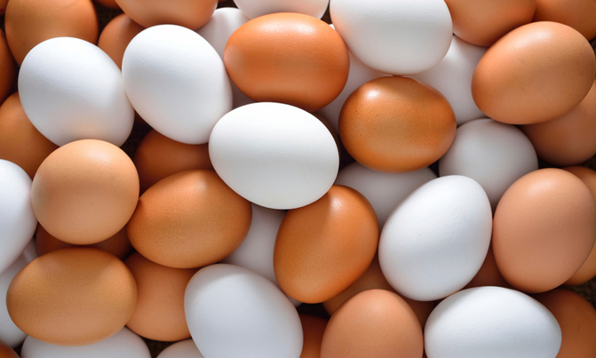Millions of Dutch eggs destroyed in growing insecticide scandal Millions of Dutch eggs destroyed in growing insecticide scandal