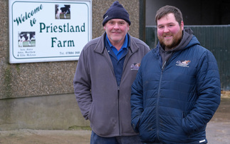 Mixture of dairy breeds on Northern Ireland farm