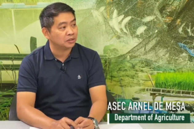1.5M rice farmers get P5-K aid this year