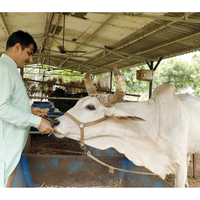 Dairy giant Banas commits to Climate Action: Collaborates with eVerse.AI to reduce 30% methane emissions every year from 3 million cattle