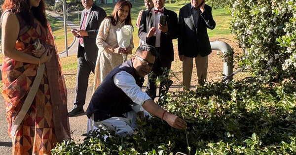 MoS Margherita plants sapling in Australia under 'Ek Ped Maa Ke Naam' initiative
