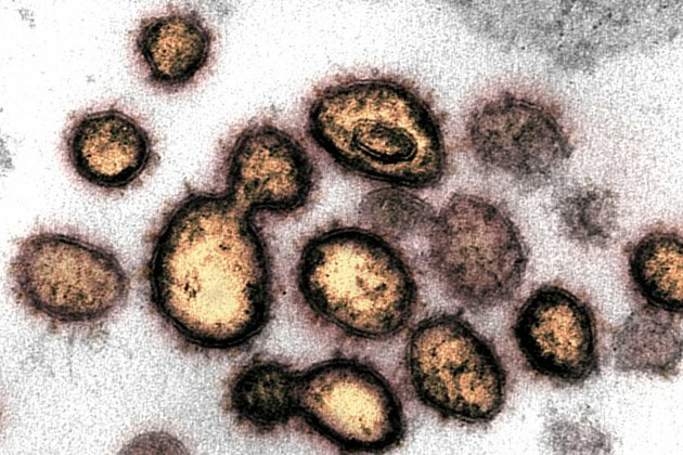 Omicron: How fear of new Covid strain gripped the world