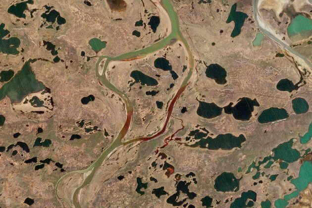 Oil Spill in Russia Draws Criticism from Putin, Sparks Investigation
