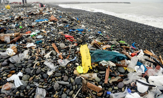 Plastics have entered human food chain, study shows Plastics have entered human food chain, study shows