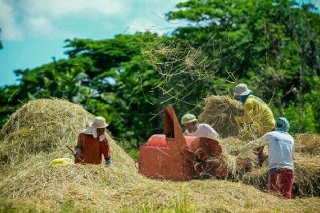 Rice tariffication law 'gamechanger': DA