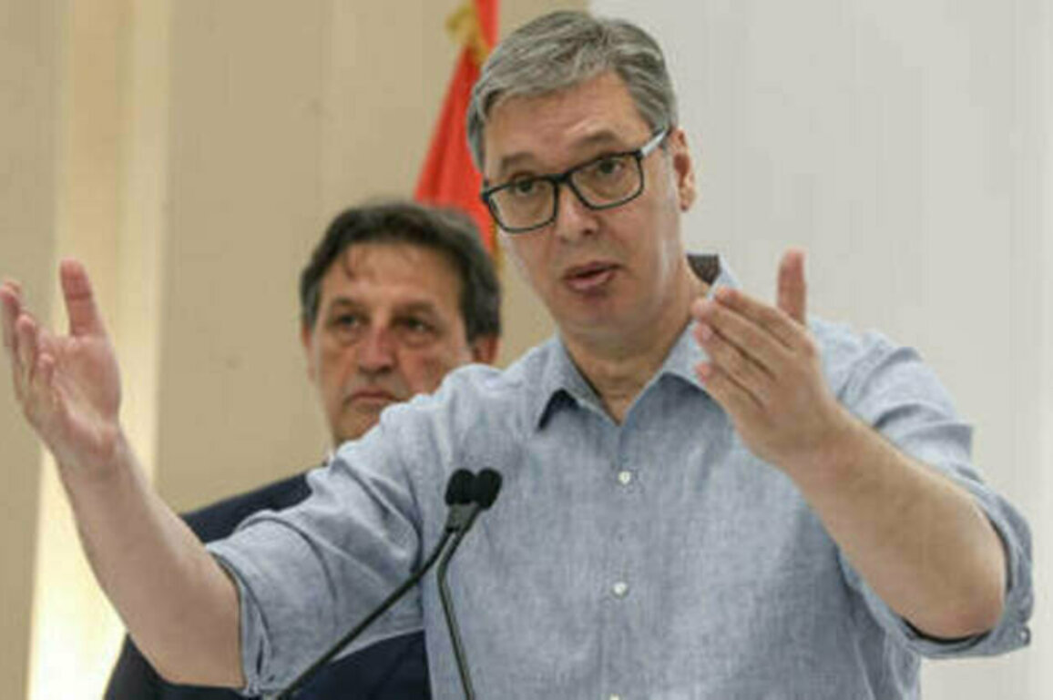 Serbia completely stops all ammo exports - Vucic