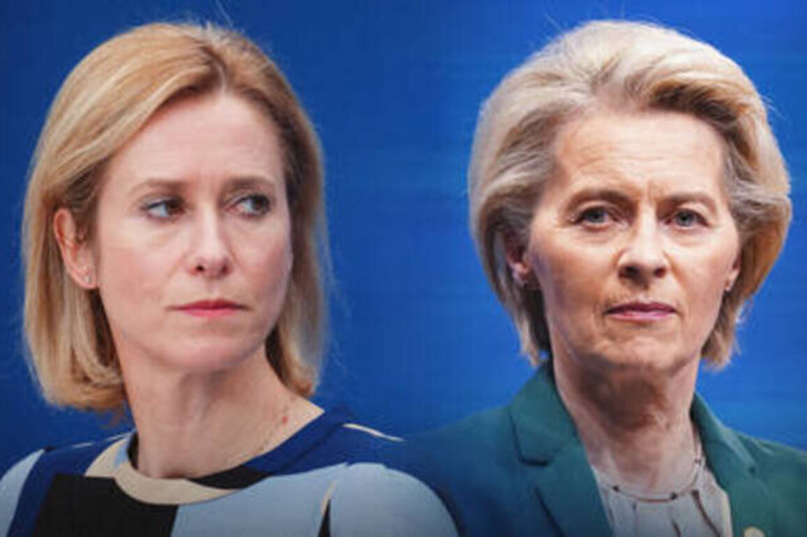 EU's Kallas privately complaining about 'dictator' von der Leyen - Politico