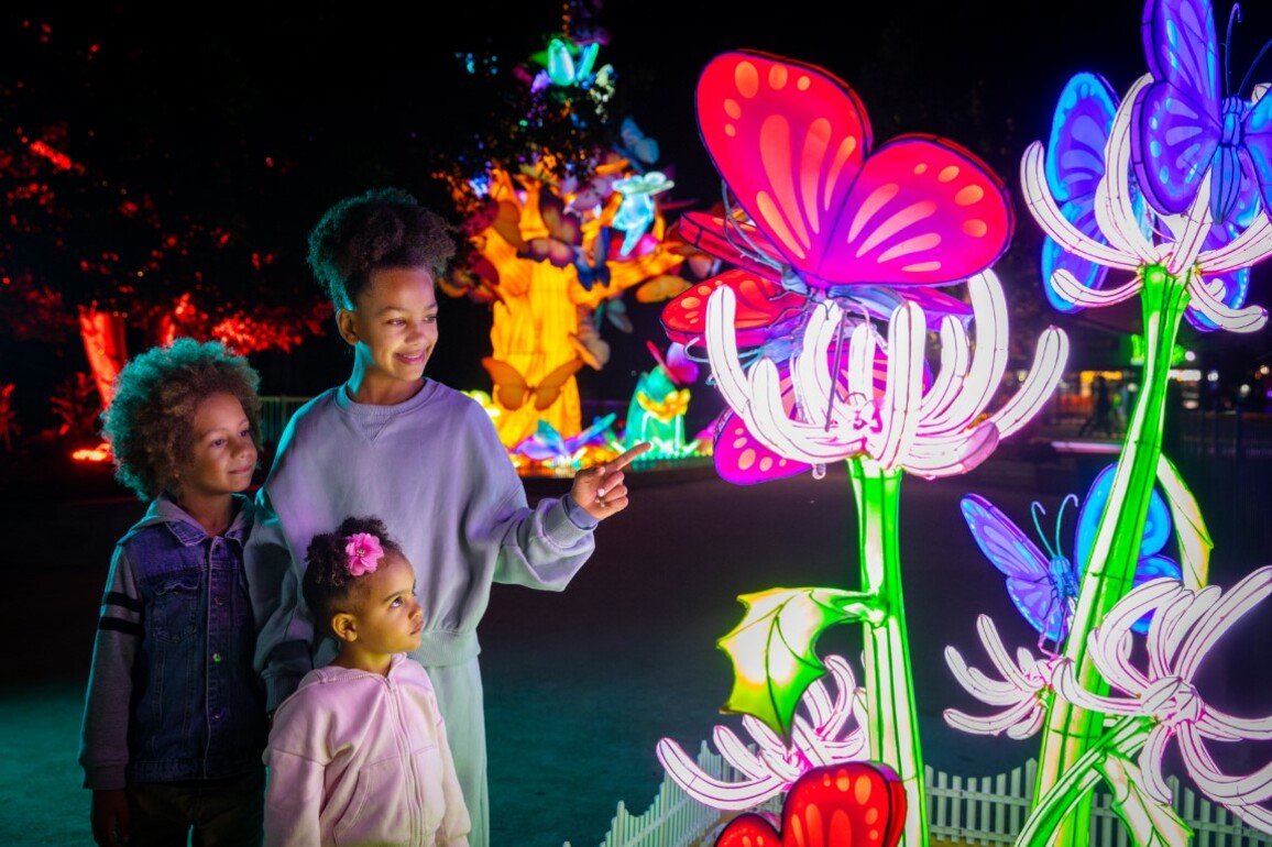 GLOW to light up Sydney Zoo for an additional two weeks  The Western Weekender