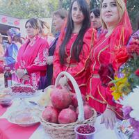 Feature: Feeling joy of harvest at pomegranate festival in Azerbaijan