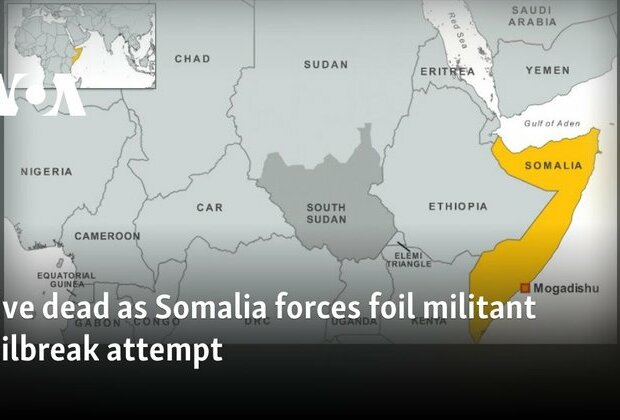 Eight dead as Somalia forces foil militant jailbreak attempt