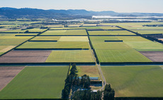 Weather causes New Zealand harvest from hell