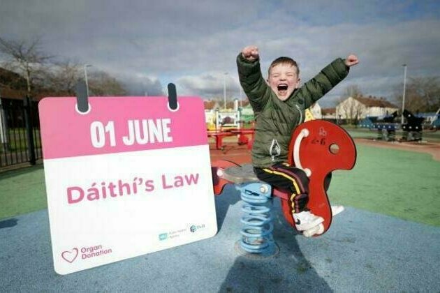 Date set for 'Daithi's Law' to come into effect