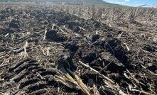 New research has shown there is potential for primary producers to be rewarded for good soil stewardship. 