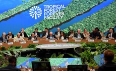 COP30: Over $5.5bn pledged to launch Tropical Forest Forever Facility