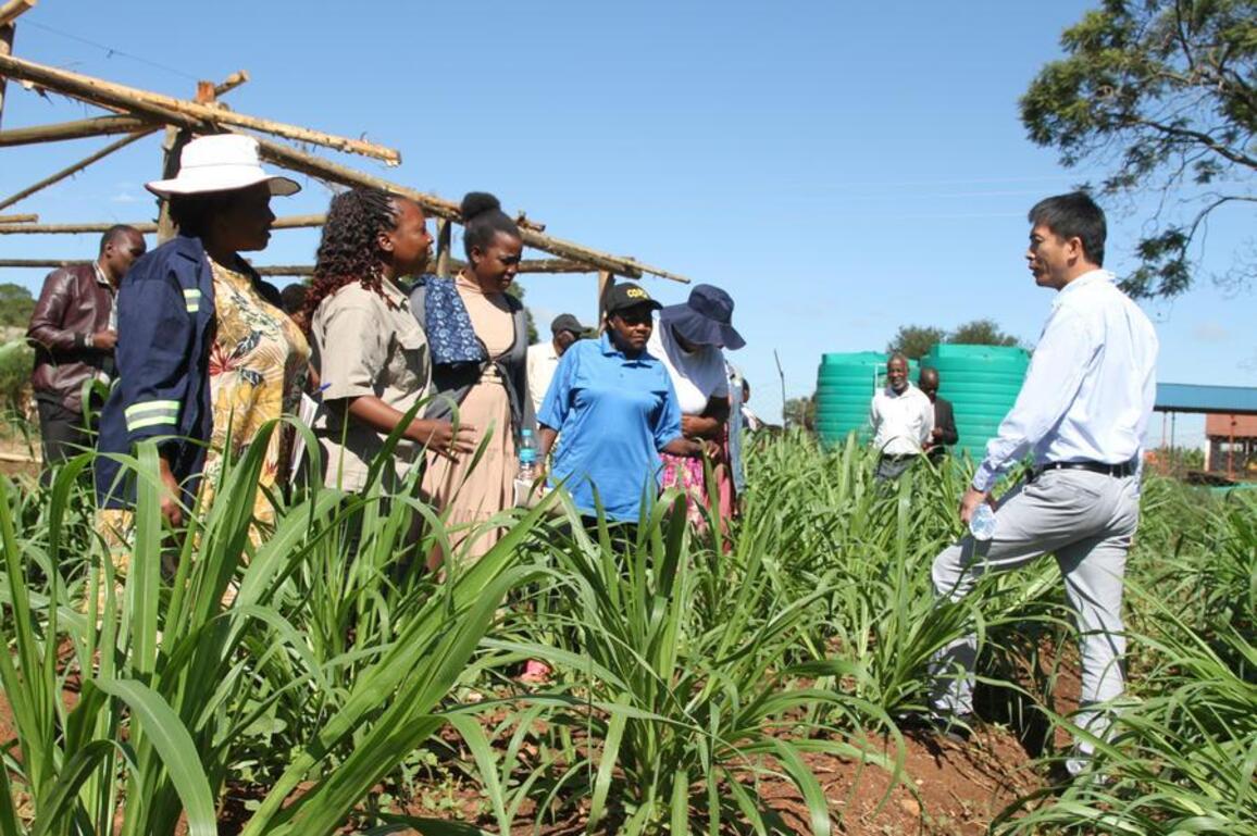 Xiplomacy: Xi's message to Zimbabwean veterans highlights enduring China-Africa friendship
