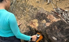 BRE adds to Brazilian REE bonanza