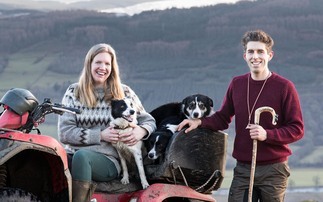 From Belgium to Scotland: Sheepdogs at the heart of a hill farming dream