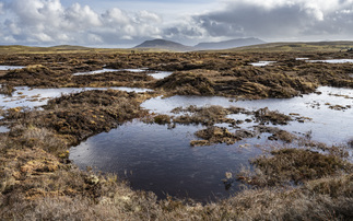National Trust and Admiral insurance team up for natural flood prevention partnership