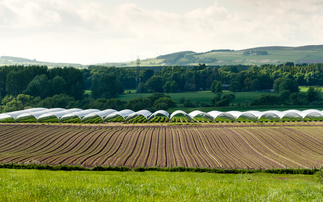 Sustainable Farming Incentive: Farmers snap up 75 per cent of first funding tranche this year