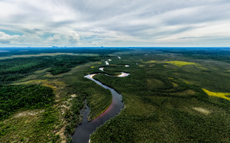 Study: Annual private nature investment grew five-fold over the past decade
