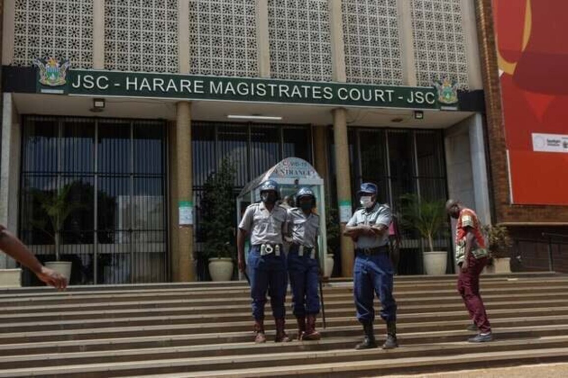 Zimbabwe: Opposition Activist Acquitted, Freed After 7 Months