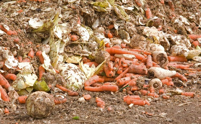 Farms blamed for £1.8 billion food waste