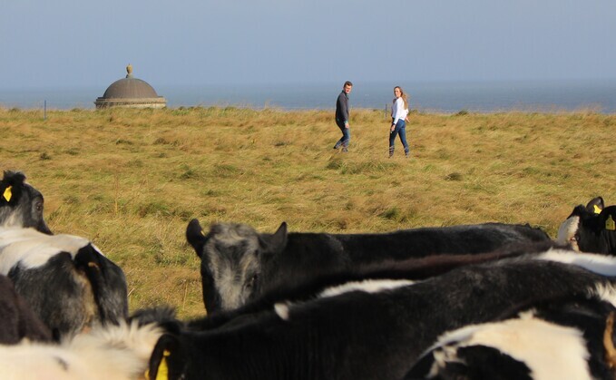 The Fund enabled Northern Ireland regenerative farm, Seaview Farms, to purchase specialist native cattle at a key moment for their business